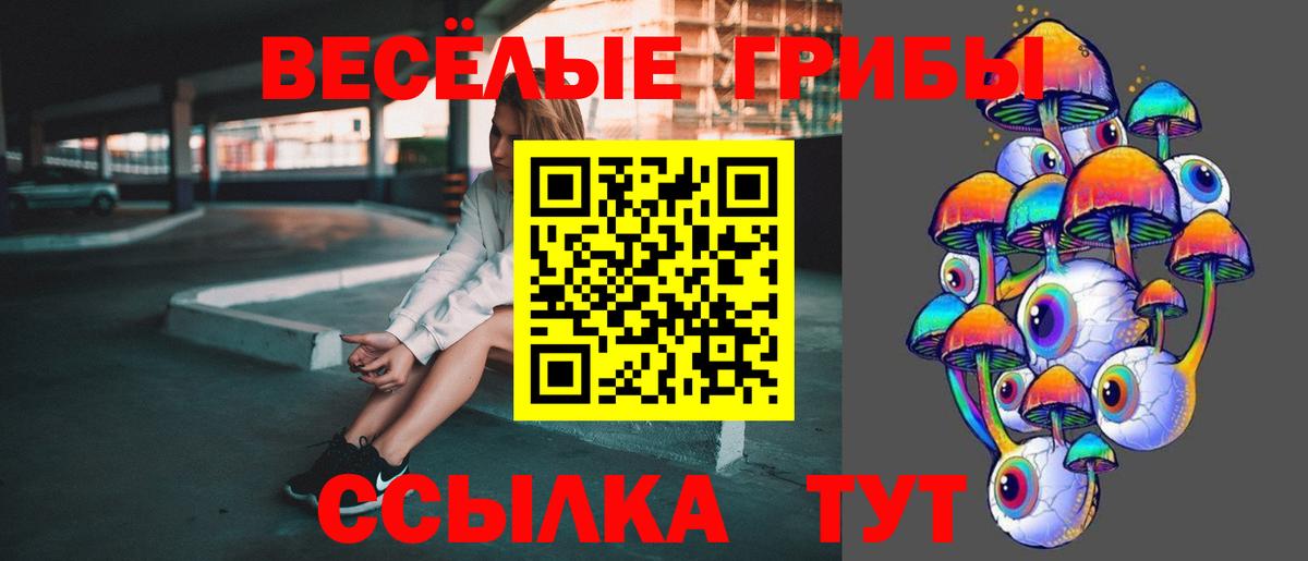 Псилоцибиновые грибы прущие грибы Аксай